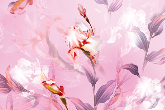 Pink Orchid